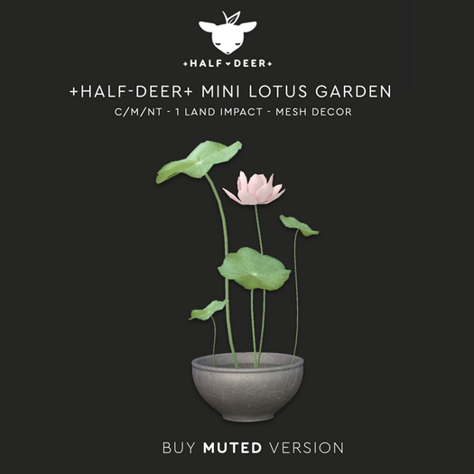 Mini Lotus Garden - Muted