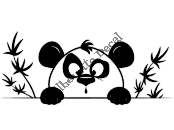 Panda 1
