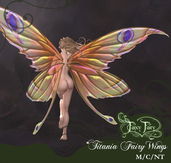 New Titania Scripted Fairy Wings - Apricot