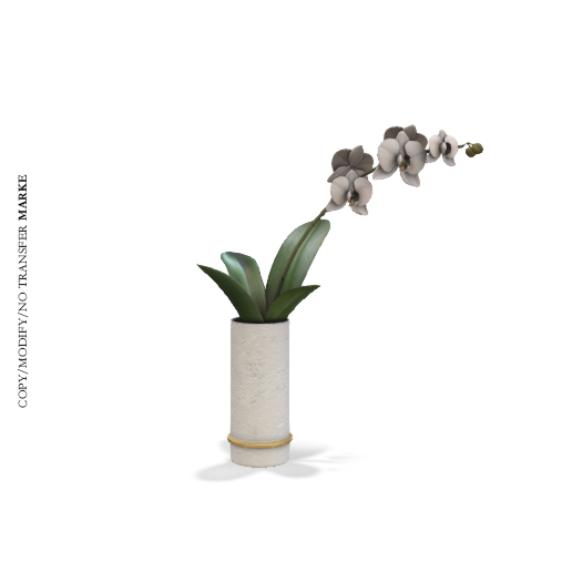 Marke. Semal Orchids White