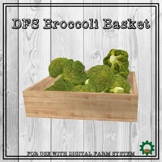 DFS Broccoli Basket Texture