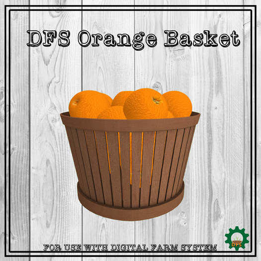 DFS Orange Basket Texture