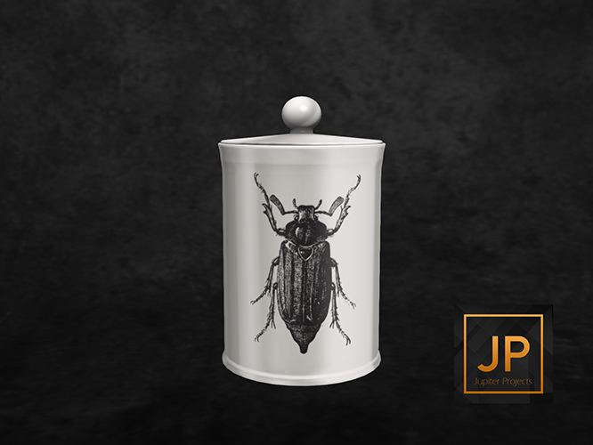 17.erratic / coc - beetle jar