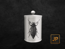17.erratic / coc - beetle jar