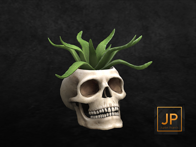 14.erratic / coc - skull planter