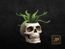 14.erratic / coc - skull planter
