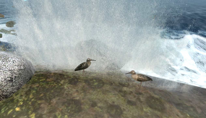 Waves crashing onto rock plus seagulls cry
