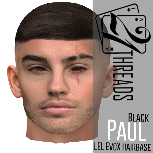 [21] Paul Hairbase Black Lel Evo X