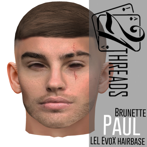 [21] Paul Hairbase Brown Lel Evo X