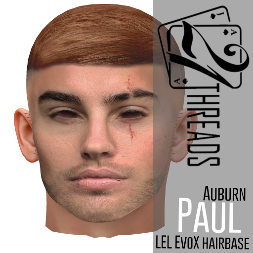[21] Paul Hairbase Ginger Lel Evo X