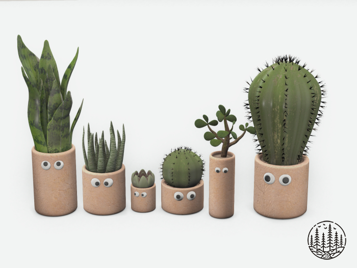 .spruce. googly planters