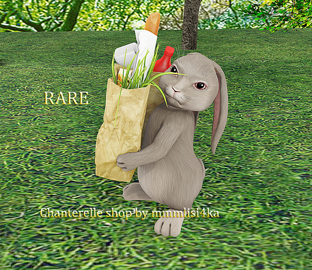17-Mutresse-Shopper-Helpful Bunny RARE
