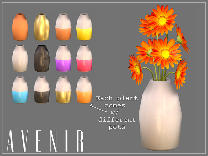 AVENIR: Daisy Neon Mesh Flowers - CHAI -