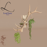LouChara Chloe Hanging Plants