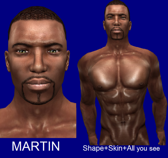 MARTIN Shape & Skin