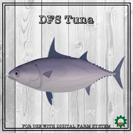DFS Tuna Texture