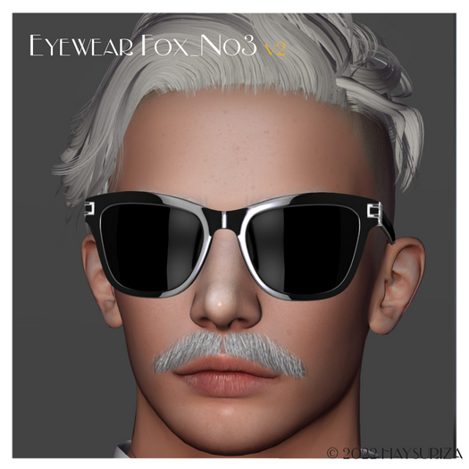 HAYSURIZA_Eyewear_Fox No.3 v2_DEMO
