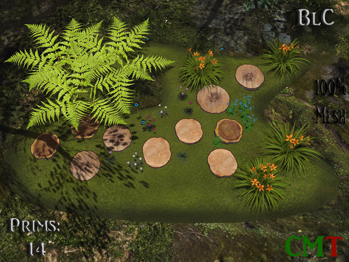 BlC walk on wooden discs natural light