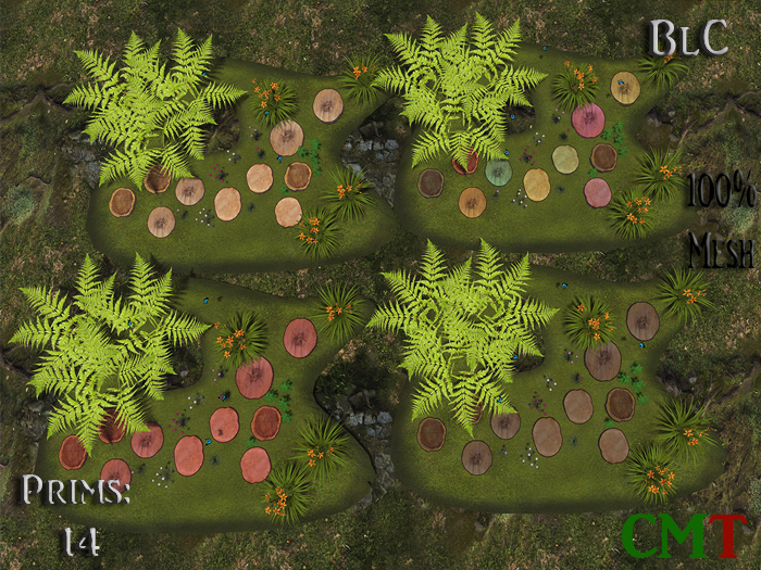 BlC walk on wooden discs Fatpack