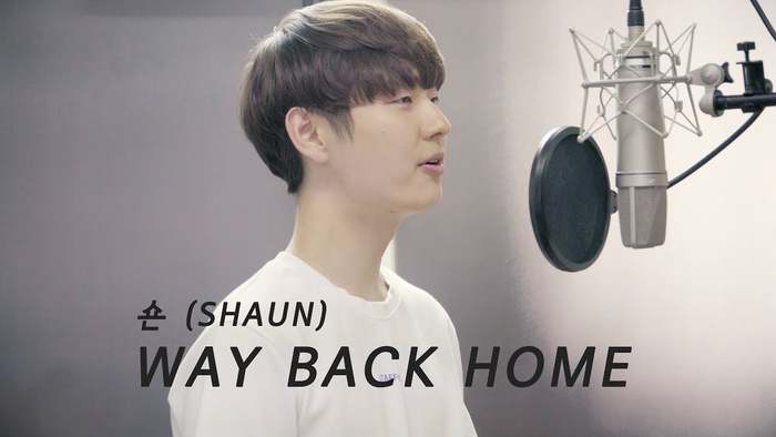 shaun - way back home - female cover