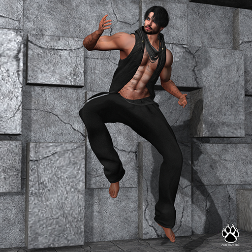 [Panthar, Inc.] Leap