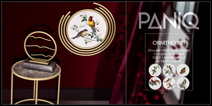 PANIQ - Ornitho Set