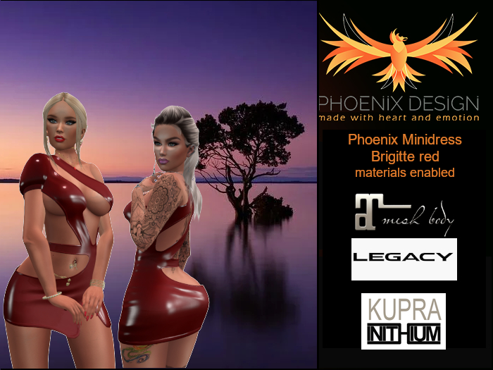 Phoenix minidress Brigitte red 