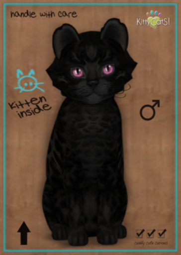 Floofy 9T Bengal Black - Pink Ice