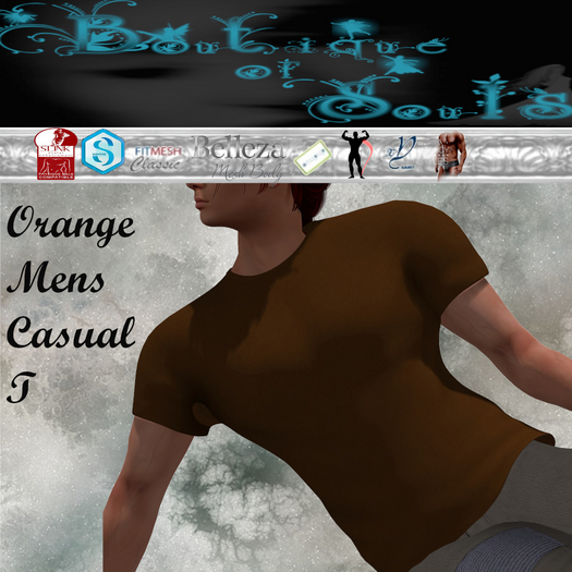 B.O.S. Orange Mens Casual T size HUD (Add to Open)