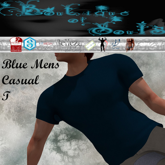 B.O.S. Blue Mens Casual T size HUD (Add to Open)