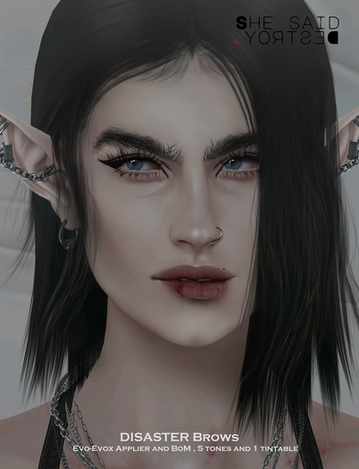 SSD. Disaster Brows  Evo Evox