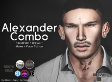 [Hipster Style] Alexander COMBO BROWN