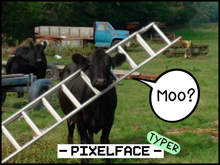 {Pixelface} Moo typer