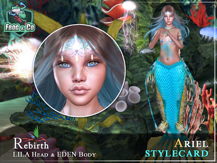 Ariel Shape + Style card - REBIRTH Lila head