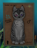 Tiger! - Shadow