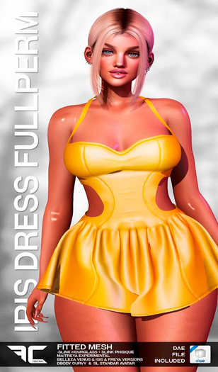 FLECHA Iris Fitted Dress Fullperm