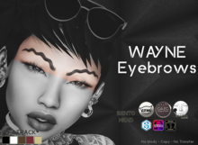 [Hipster Style] WAYNE Brows - FATPACK 