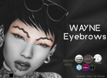 [Hipster Style] WAYNE Brows - BLACK