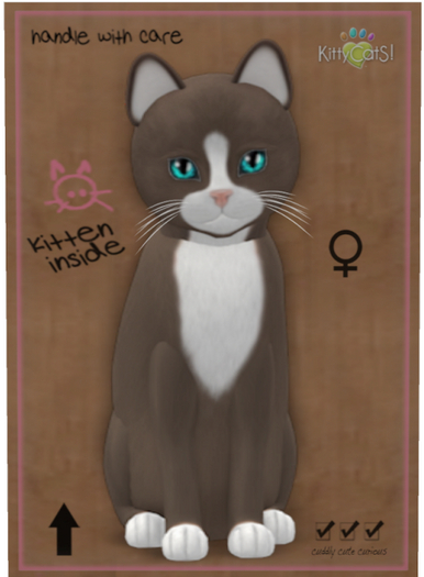 KittyCatS Box - Chateau Cat - Tawny & White No.1