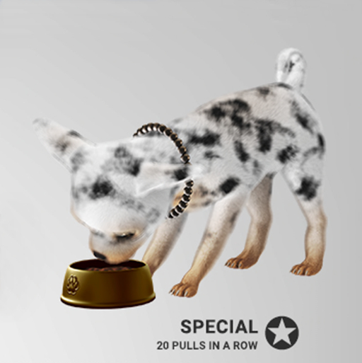 SEmotion Libellune Chichuachua Companion SPECIAL