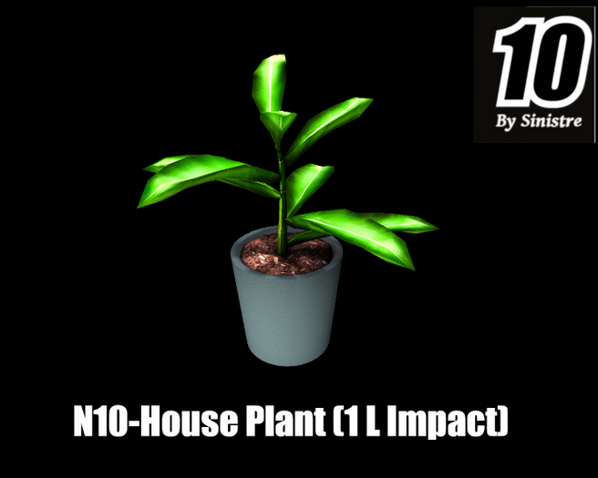 N10-House Plant 1LI