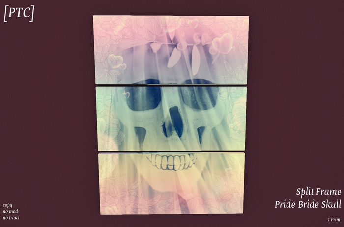 [PTC] Split Frame - Pride Bride Skull (add or rezz)