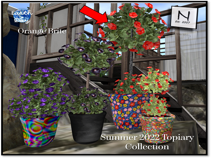 Summer Topiary 2022 - Orange Brite