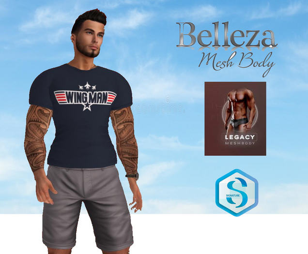 Wingman Men's T-Shirt