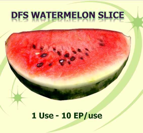 [100] DFS Watermelon Slice