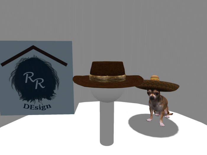 STETS Brown Leather Hat