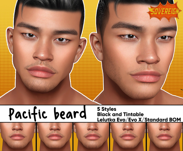 Aardvark : Pacific Beard Set 