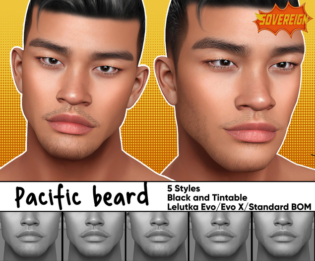 Aardvark : Pacific Beard Set - DEMO