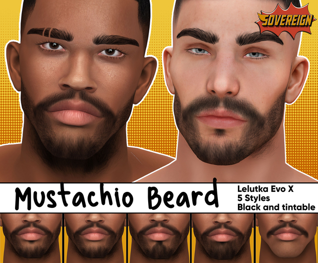 Aardvark : Mustachio Beard Set  