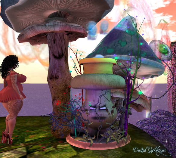 Smokin Mad Mushroom